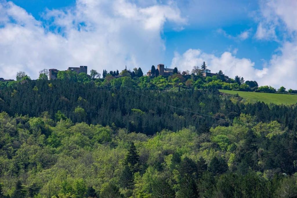 Villa Blanche, Contemporary, Cathars, Couiza, Carcassonne Zewnętrze zdjęcie